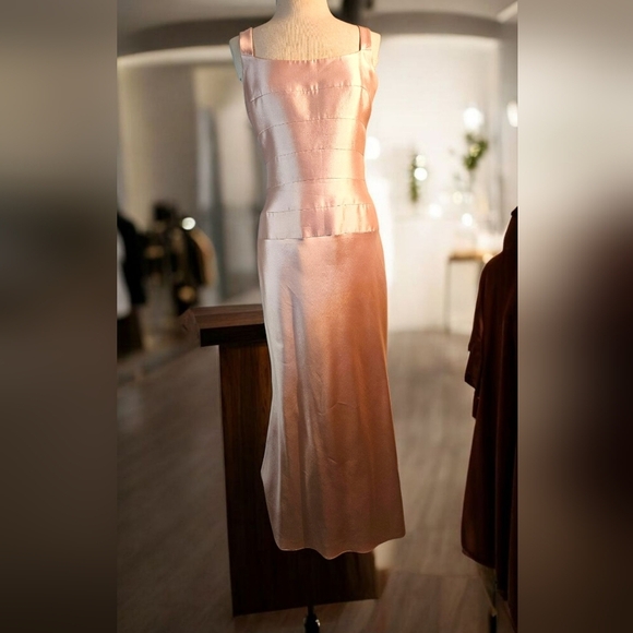 Source Unknown Blush Midi Dress - Picture 3 of 9